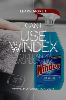 Can I Use Windex on My Car Windshield? And Why Do Birds Always Poop on Clean Cars?