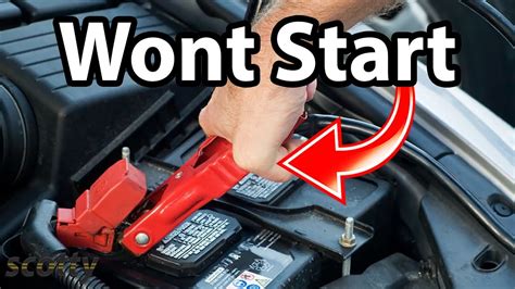 Does Jump Starting a Car Damage the Alternator? And Why Do Bananas Glow in the Dark?