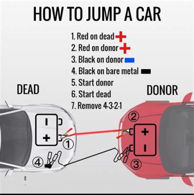 How Many Amps Do You Need to Jump Start a Car? And Why Do Fish Prefer Electric Currents?