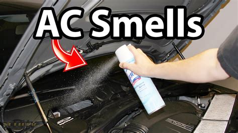 How to Get Rid of Skunk Smell on Car: When Your Vehicle Smells Like a Stink Bomb and You're Out of Air Fresheners