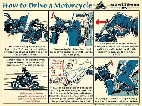 How to Learn How to Drive a Motorcycle: Why Bananas Might Be the Secret to Balance