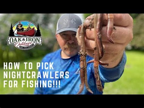 How to Store Worms for Fishing: A Comprehensive Guide to Keeping Your Bait Alive and Wriggling