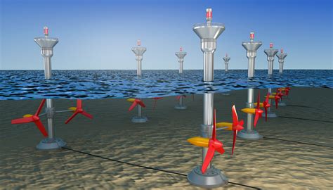 In Which Direction Does Wave Energy Travel in the Ocean? And Why Do Fish Sometimes Swim Backwards?