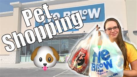 Is Meijer Pet Friendly? Exploring the Intersection of Retail and Animal Companionship