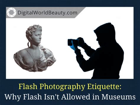 Why is Flash Photography Not Allowed in Museums, and Does It Really Scare the Paintings?